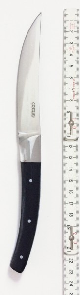 Steakmesser, edelstahl | schwarz Klinge 10 cm