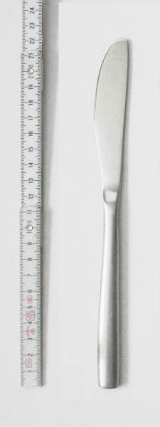Messer L 20,5 cm Edelstahl matt gebürstet zu Artikel